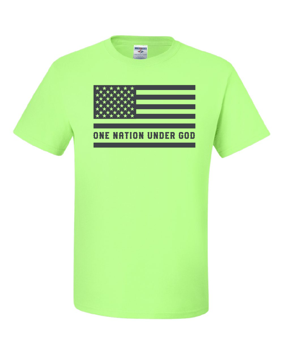 USA Flag Neons